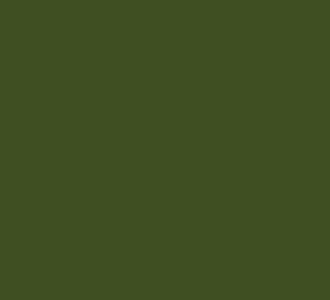 Alphanamel DARK OLIVE
